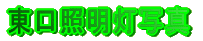 �����Ɩ����ʐ^